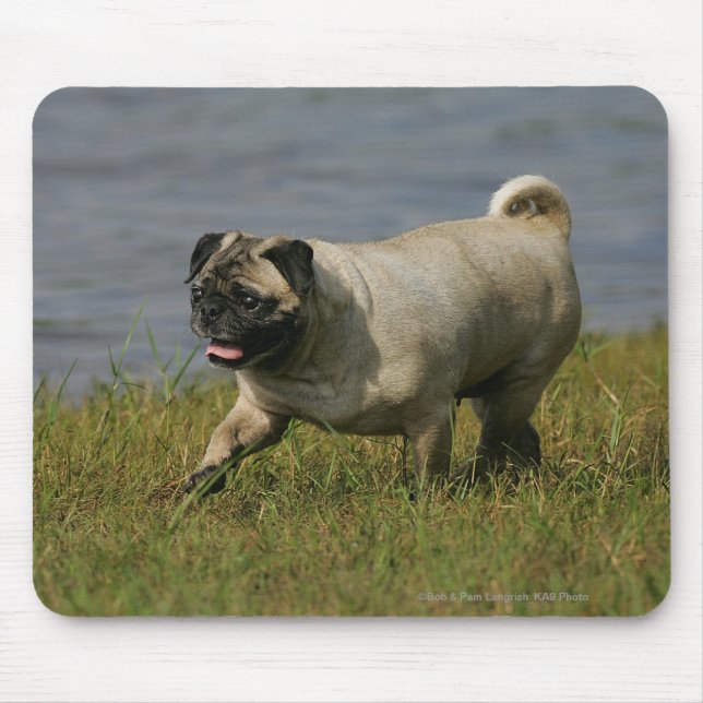 Mousepad Pug que joga perto da água (Frente)