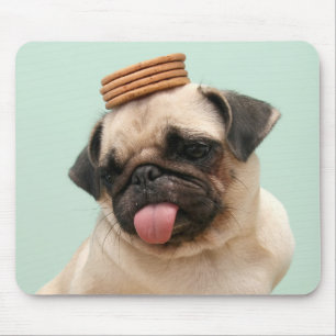 Mousepad Pug Quer Tratamentos