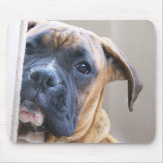 Mousepad Pugilista