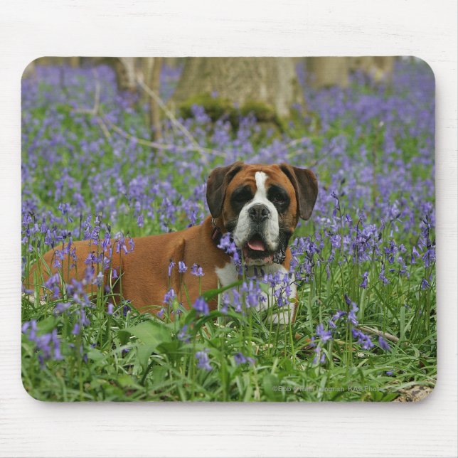 Mousepad Pugilista que coloca nos Bluebells (Frente)