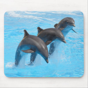 Mousepad Pulando a esteira do rato dos golfinhos