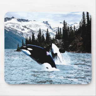 Mousepad Pulando a orca