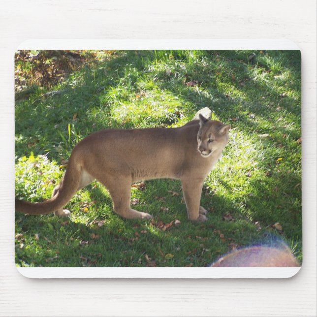 Mousepad puma (Frente)