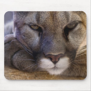 Mousepad Puma