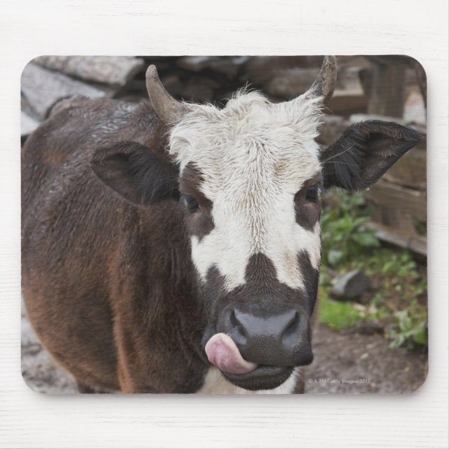 Mousepad punakha distrito de bhutan (Frente)