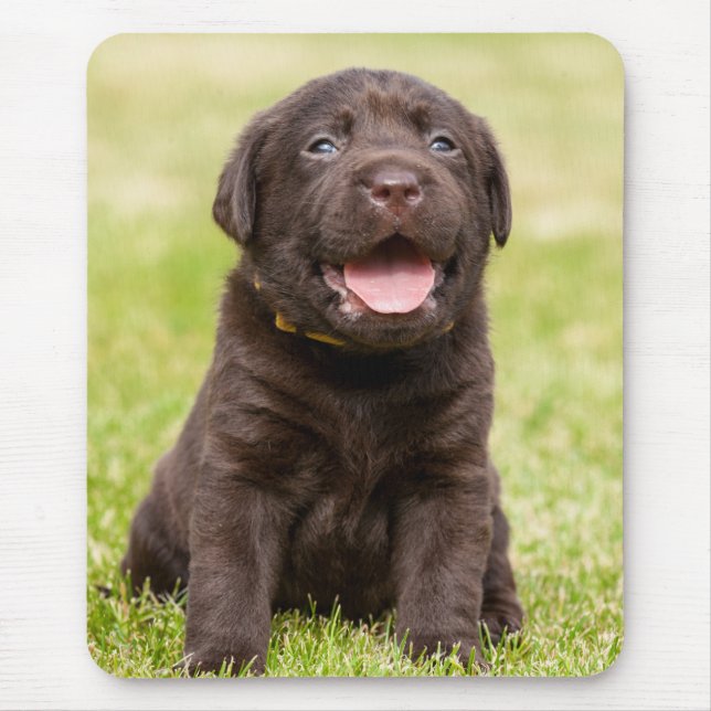 Mousepad Puppie de chocolate (Frente)