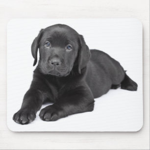 Mousepad Puppie-zumbido preto Labrador
