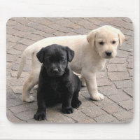 puppies musepad