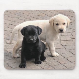 Mousepad puppies musepad