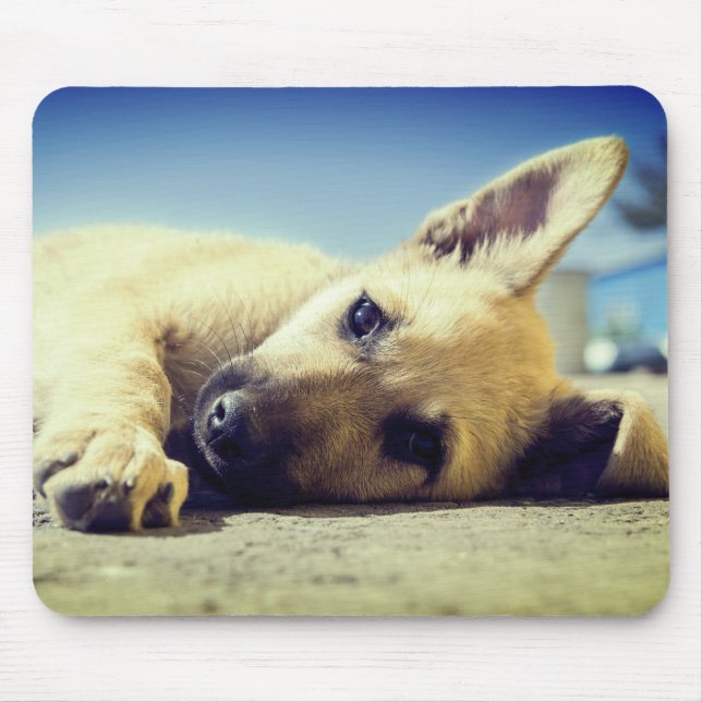 Mousepad Puppy (Frente)