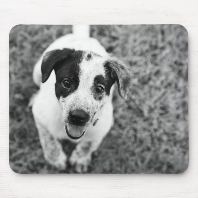 Mousepad Puppy (Frente)