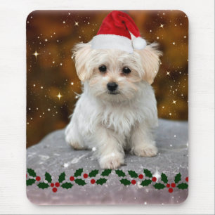 Mousepad Puppy de Natal maltês