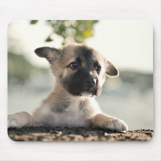 Mousepad Puppy do german shepherd sobre a borda (Frente)