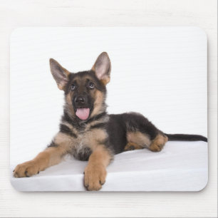 Mousepad puppy German shepherd