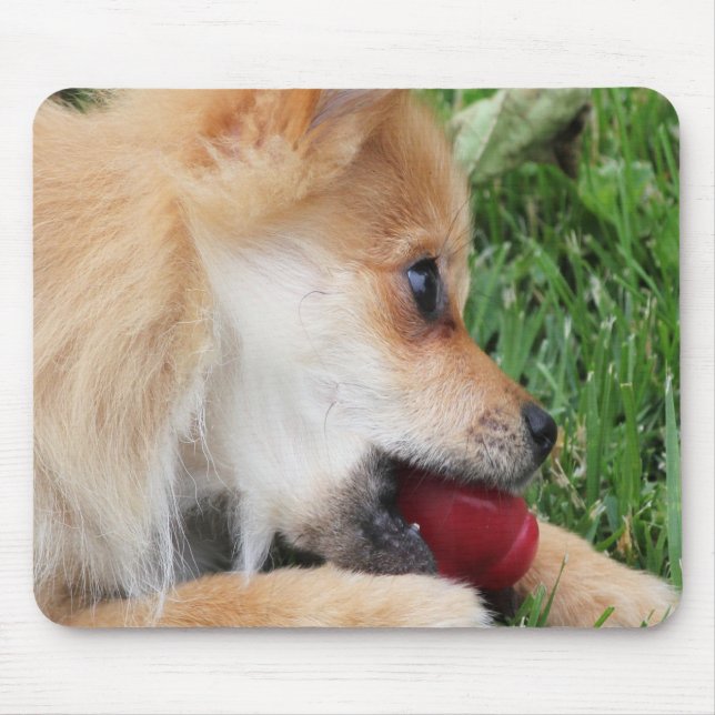 Mousepad Puppy Pomerano com Ball (Frente)