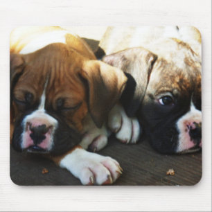 Mousepad Pups de boxe esnobe no mouse