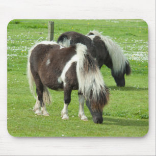 Mousepad Purebred Shetland Paint Ponies