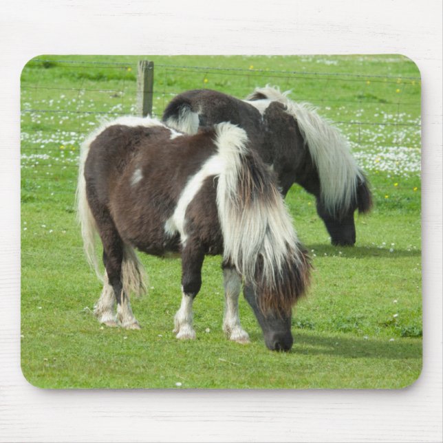 Mousepad Purebred Shetland Paint Ponies (Frente)