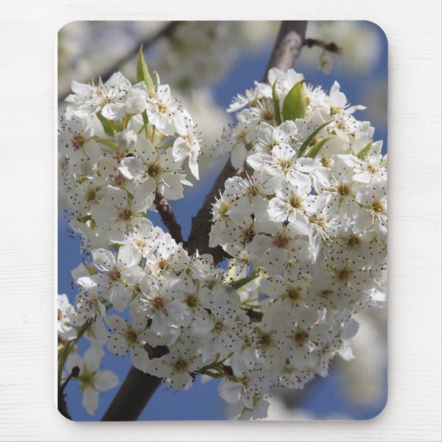 Mousepad Pureza (Frente)