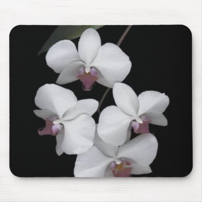 Mousepad Puro (Frente)