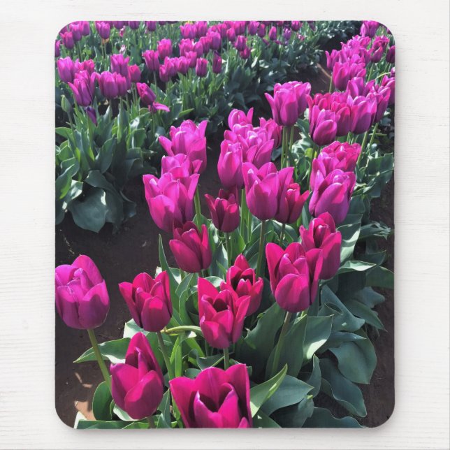 Mousepad Purple Flag Tulips, Oregon (Frente)