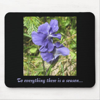 Mousepad PurpleFlower, a tudo há uma estação…