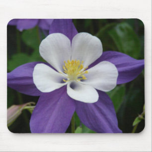 Mousepad Púrpura Columbina e Pasta Flor Branca