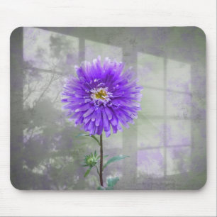 Mousepad Púrpura Dahlia Na Sombra Da Janela