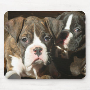 Mousepad Puxadores de boxe do módulo