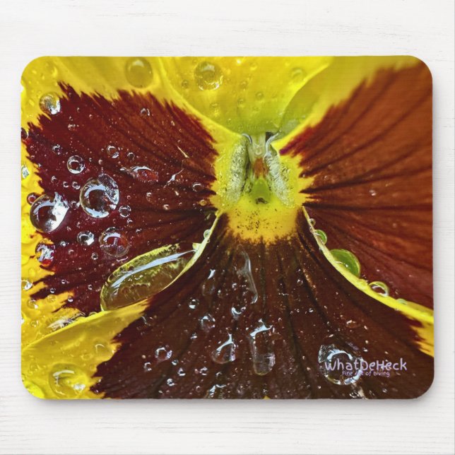 MOUSEPAD PW42 (Frente)