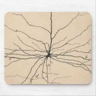 Mousepad Pyramida Neuron Desenho Por Santiago Ramón Y Cajal