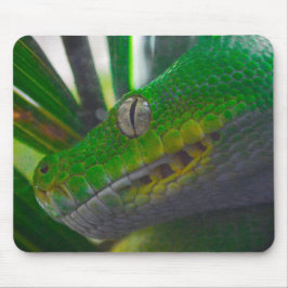 Mousepad Python verde-árvore (B)