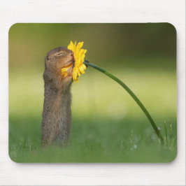 Mousepad Quadrinho Bonito Cheirando Flor De Dandelion