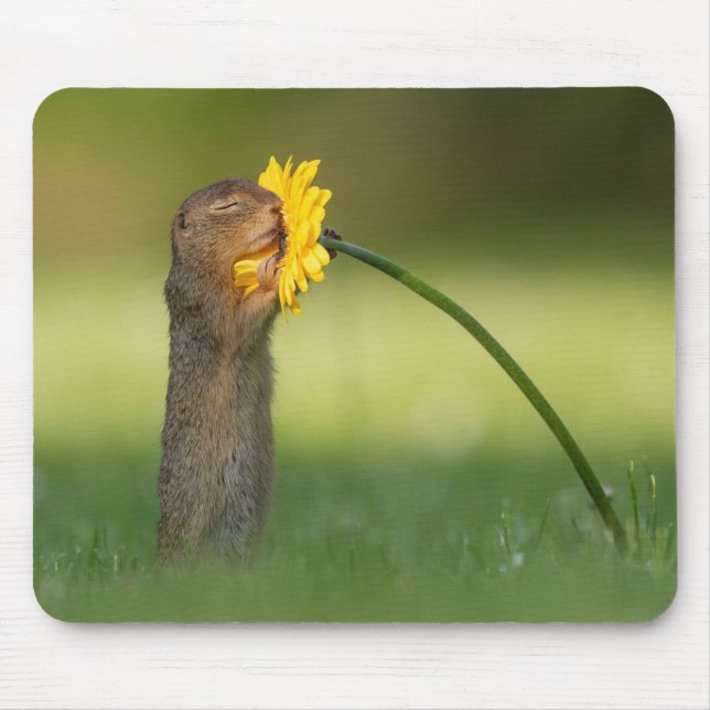 Mousepad Quadrinho Bonito Cheirando Flor De Dandelion (Frente)