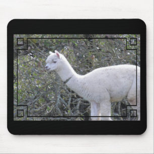 Mousepad - Quadro para a sua imagem