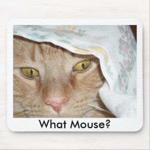 Mousepad Qual o Humor Gato do Rato/Comprimido Laranja