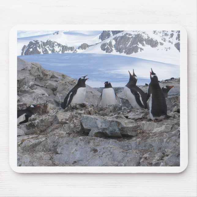 Mousepad Quarteto do barbeiro (Frente)