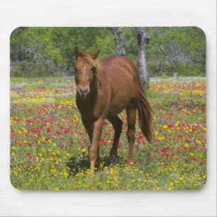Mousepad Quarto Cavalo no Campo de Flores Selvagens