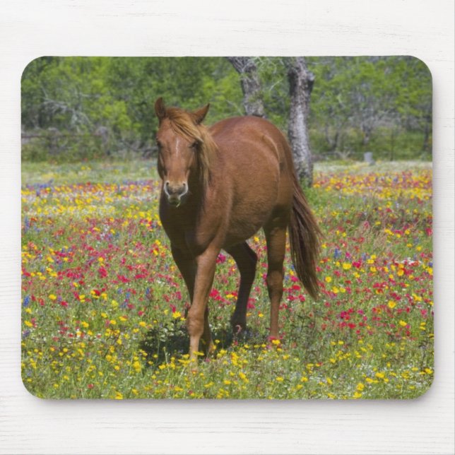 Mousepad Quarto Cavalo no Campo de Flores Selvagens (Frente)