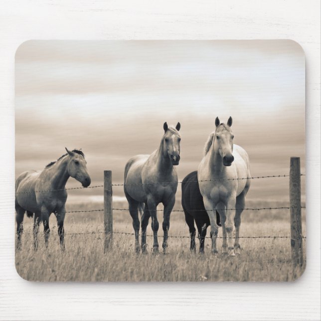 Mousepad Quartos Cavalos Na Prairie Canadense (Frente)