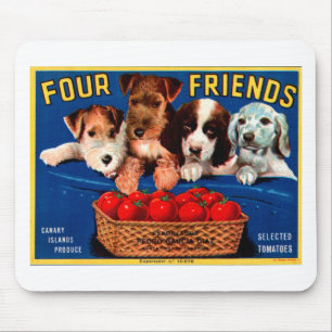 Mousepad Quatro Amigos