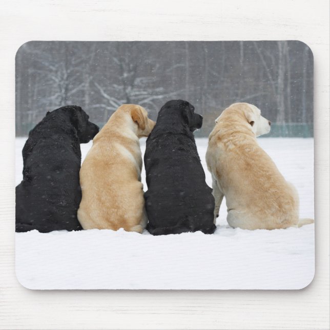 Mousepad Quatro Cães Labradores Na Neve (Frente)