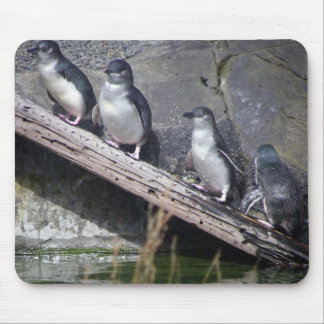 Mousepad Quatro pinguins pequenos