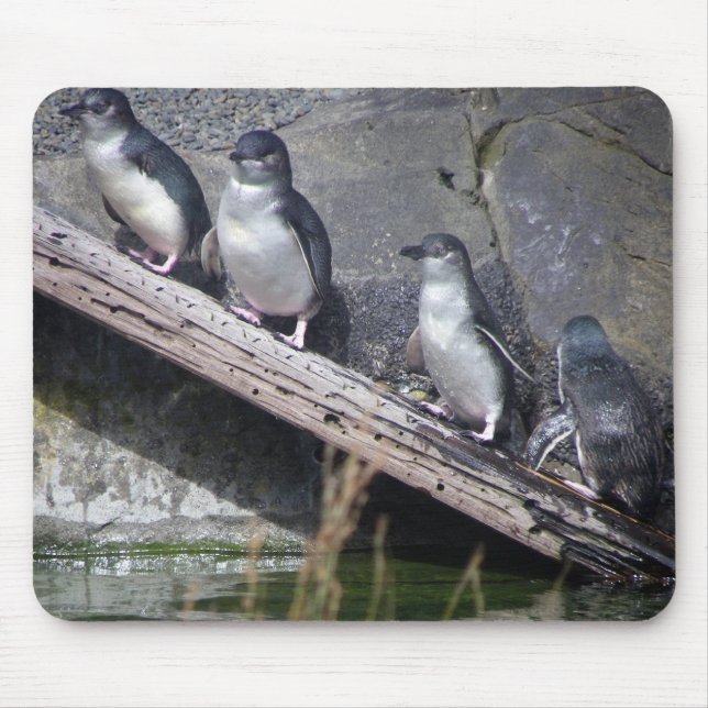 Mousepad Quatro pinguins pequenos (Frente)