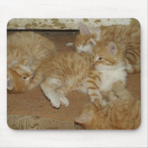 Mousepad Quatro Tabelas Vermelhas