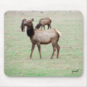 Mousepad Que alce você está olhando?