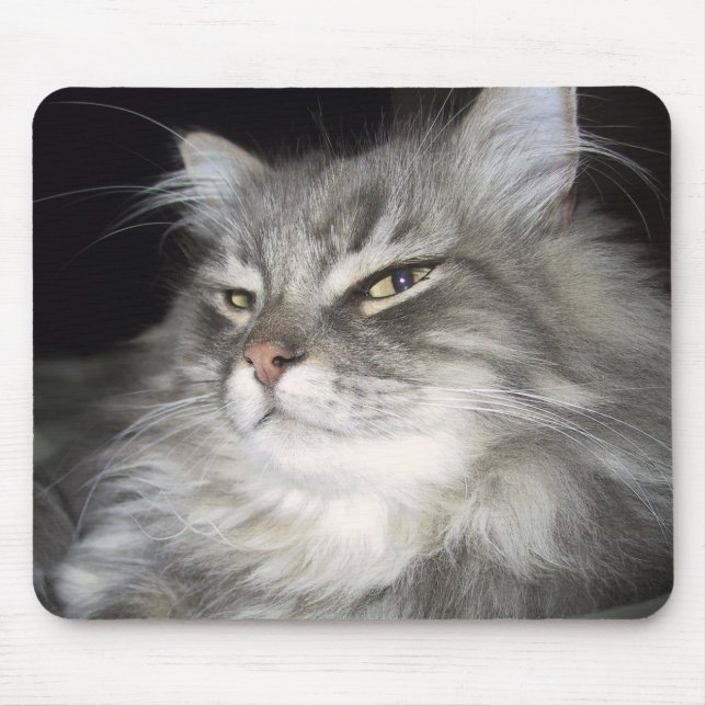 Mousepad Que atitude? (Frente)