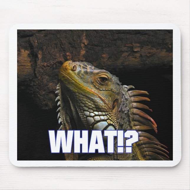 Mousepad Que!? Iguana (Frente)