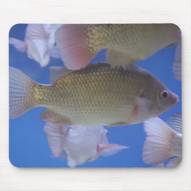 Mousepad Que para o comensal? (Frente)