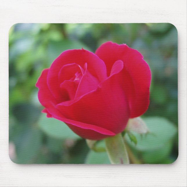 Mousepad Que Rosa incrível (Frente)